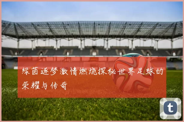 绿茵逐梦激情燃烧探秘世界足球的荣耀与传奇
