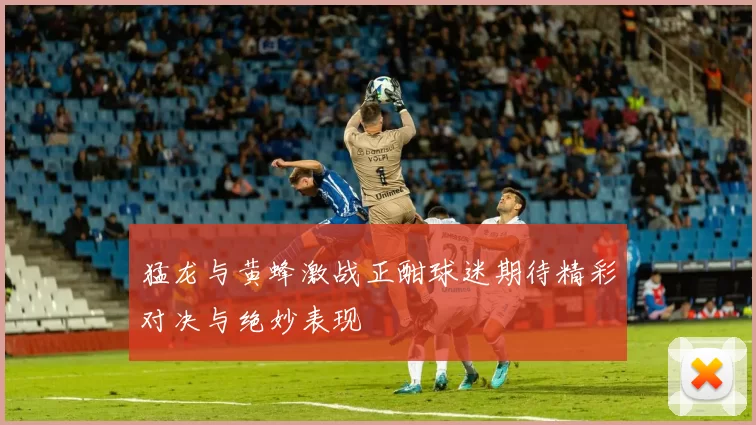 猛龙与黄蜂激战正酣球迷期待精彩对决与绝妙表现