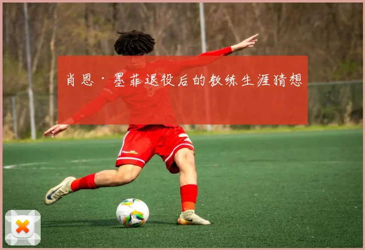肖恩·墨菲退役后的教练生涯猜想