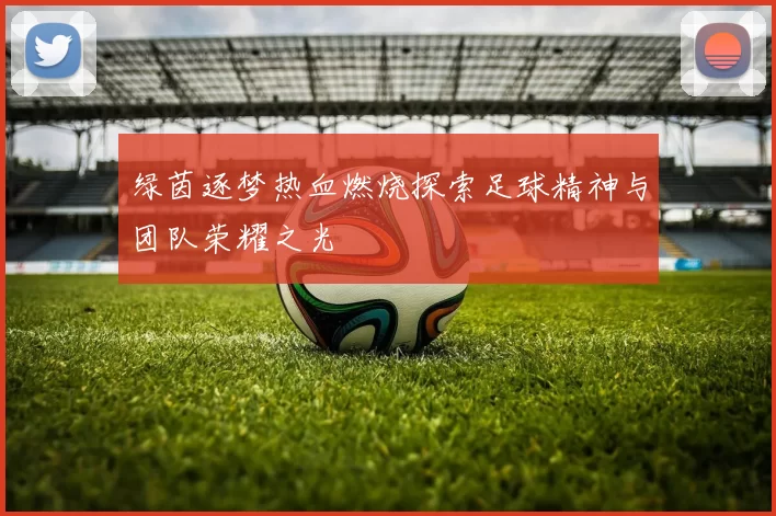 绿茵逐梦热血燃烧探索足球精神与团队荣耀之光