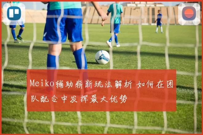 Meiko辅助崭新玩法解析 如何在团队配合中发挥最大优势