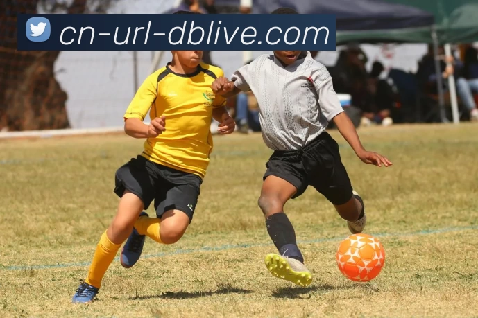 App Interface Preview