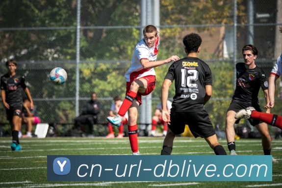 db真人首页APP 封面图